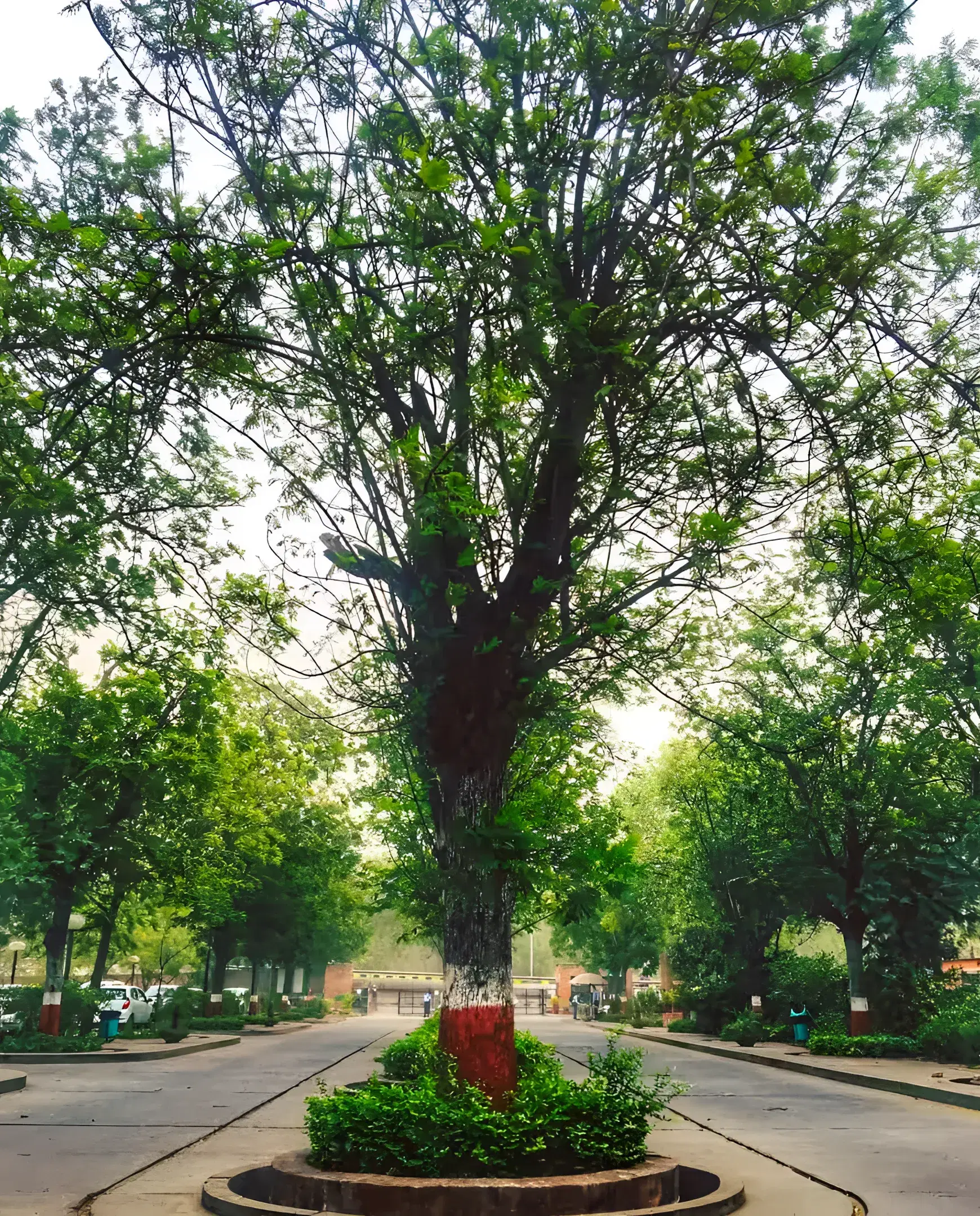 IIM Ahmedabad academic infrastructure photo 26